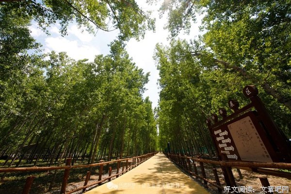 黄河之滨的村庄