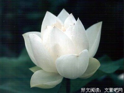 叩心