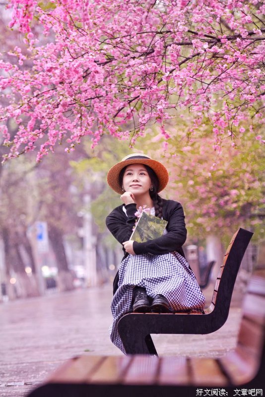 樱花落