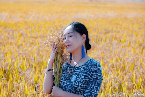 我坐在岁末，读一本四季的书
